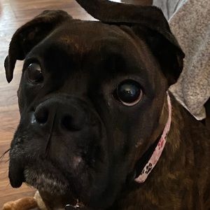 Meet your Posher, Trey